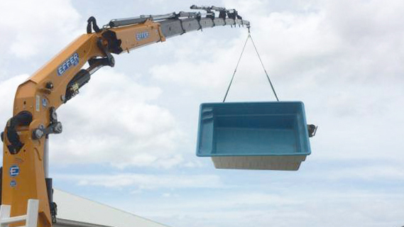 Camión International con Grúa Effer 8 Ton