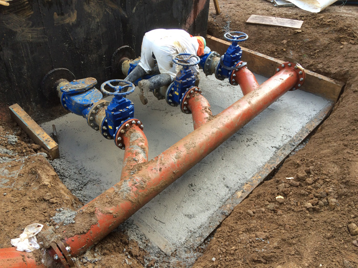 Foto proyecto Esbbio