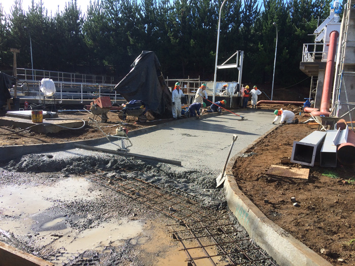 Foto proyecto Esbbio